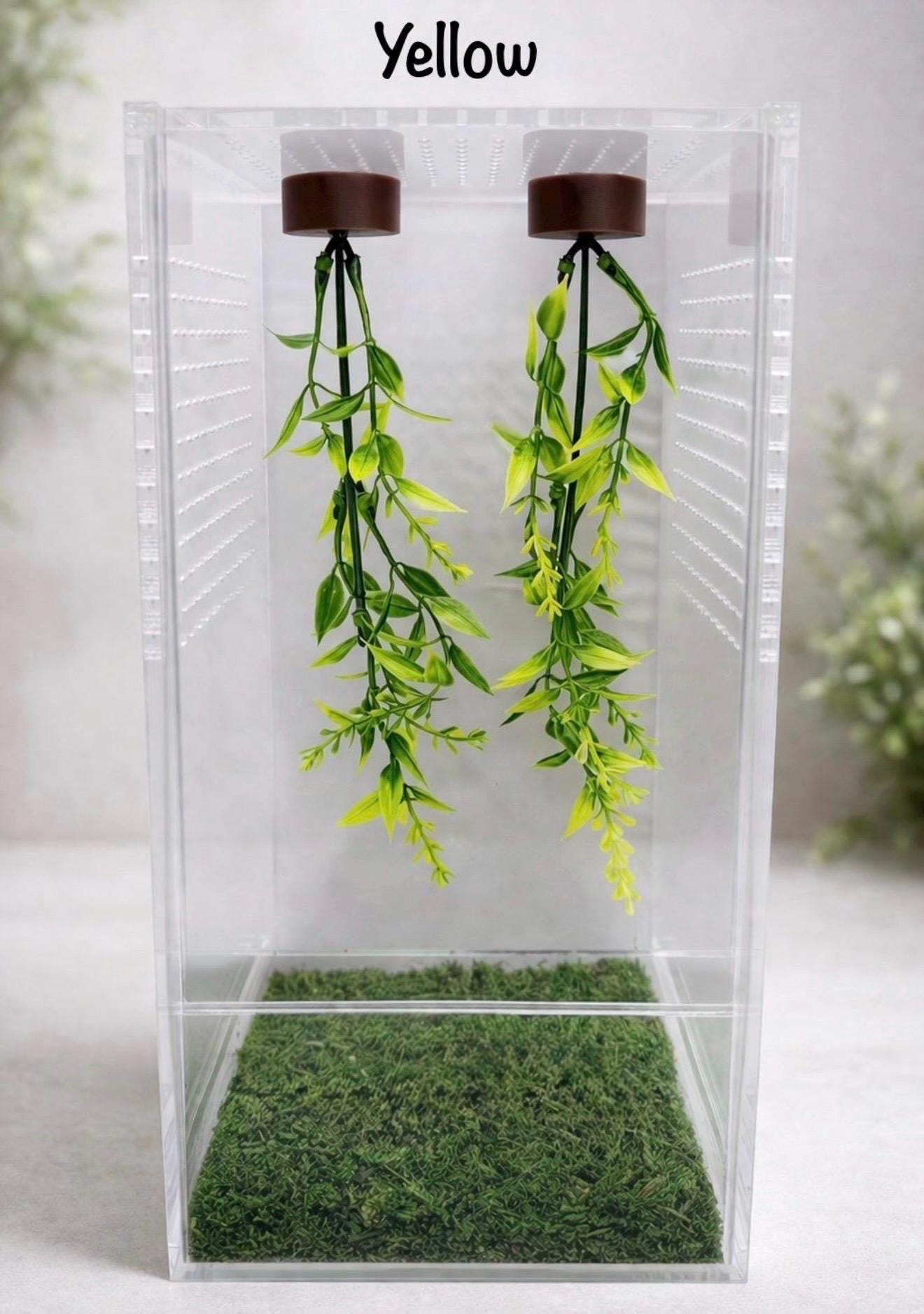 Set of 2 Hanging Plant Jumping Spider Playground | Hanging Gym | Enrichment Toy