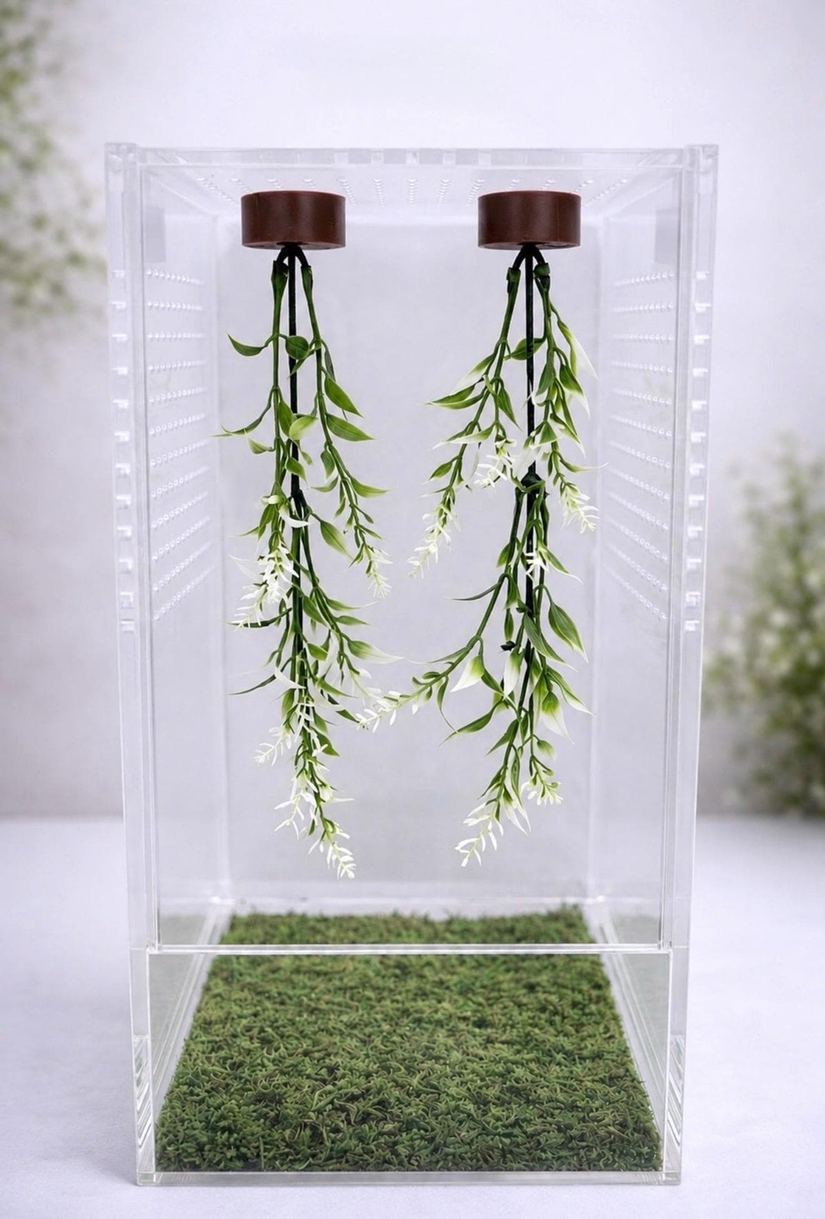 Set of 2 Hanging Plant Jumping Spider Playground | Hanging Gym | Enrichment Toy