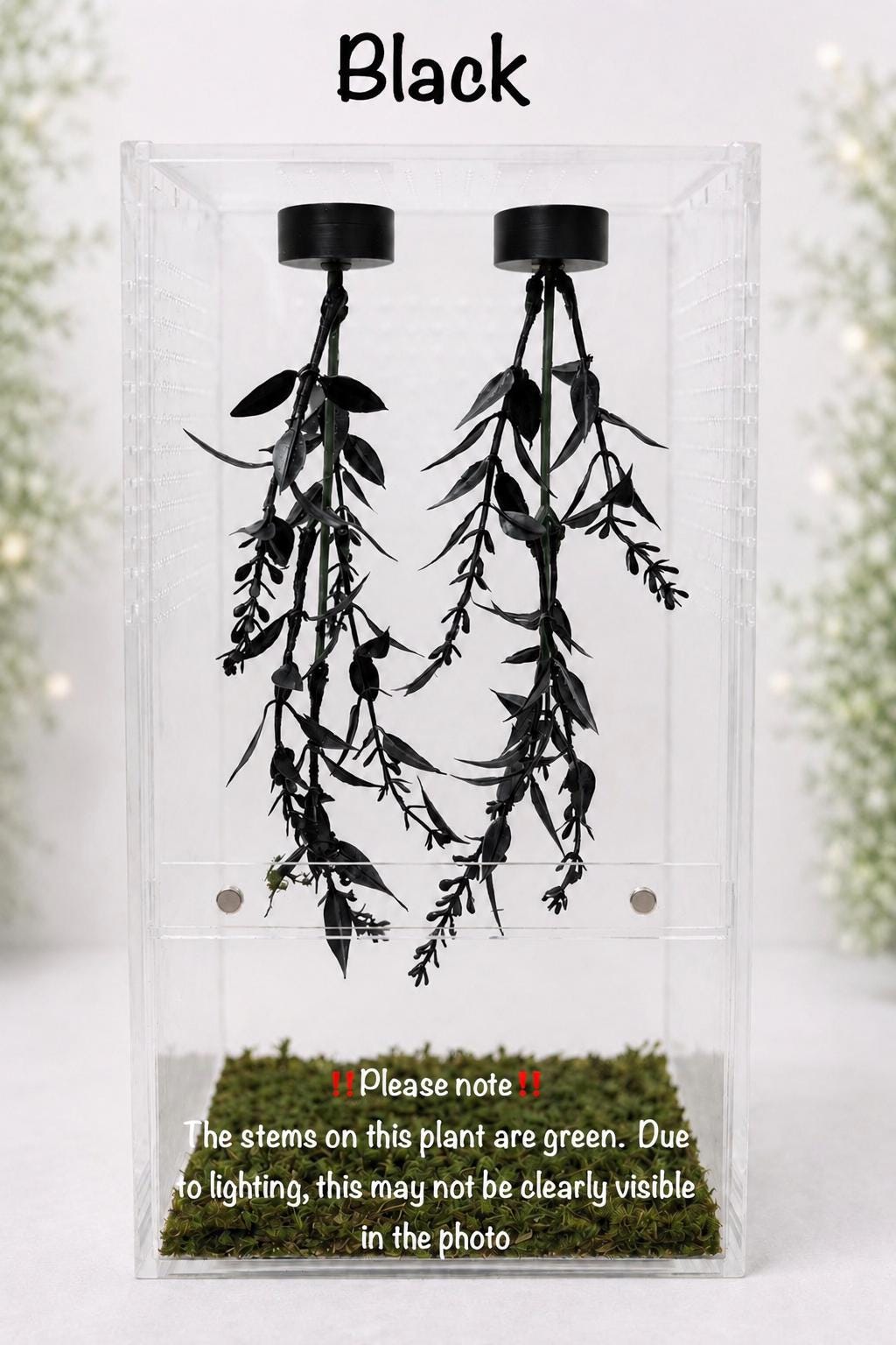 Set of 2 Hanging Plant Jumping Spider Playground | Hanging Gym | Enrichment Toy