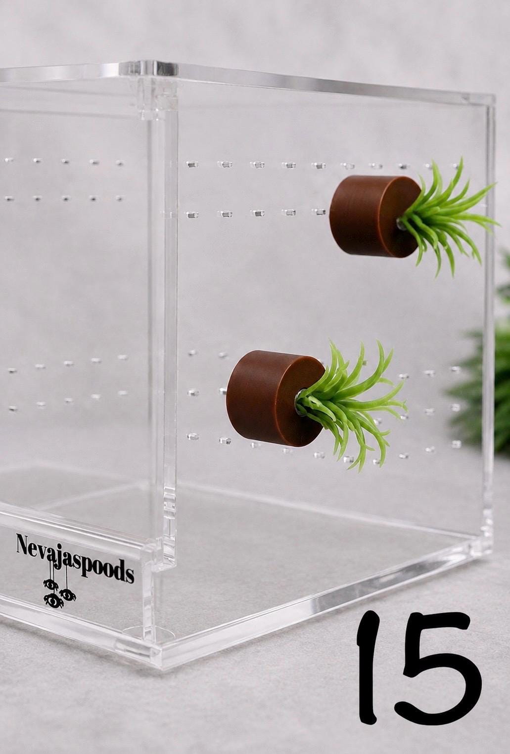 Set of 2 Bush/Succulent Ledges for Jumping Spider | Enrichment Toy
