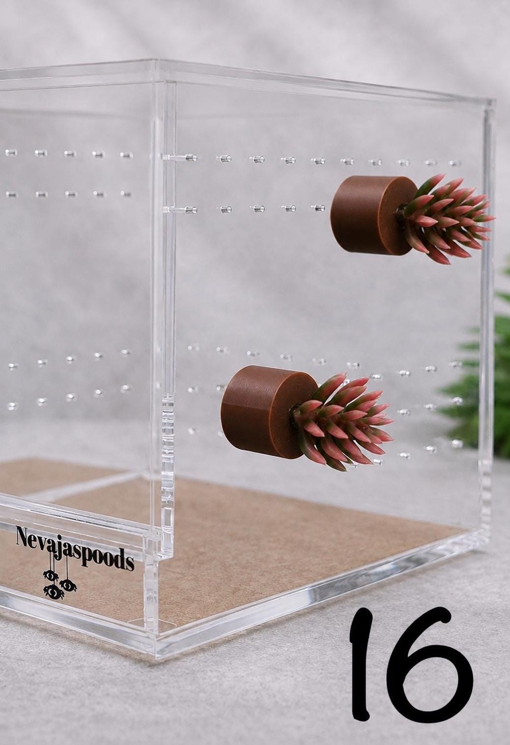 Set of 2 Bush/Succulent Ledges for Jumping Spider | Enrichment Toy