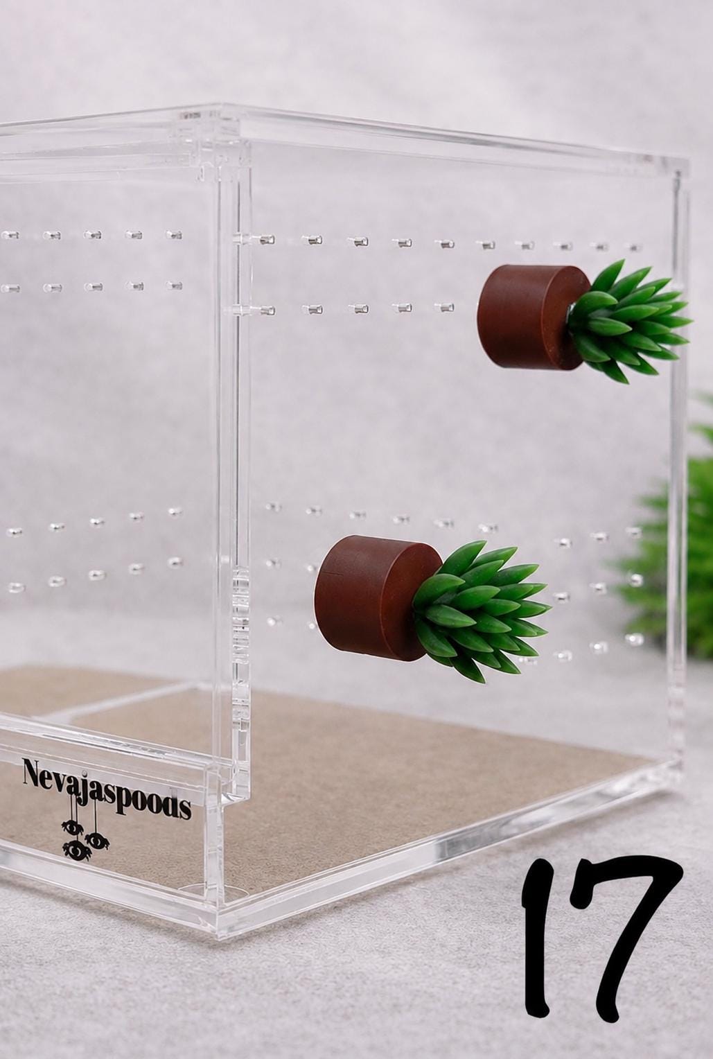 Set of 2 Bush/Succulent Ledges for Jumping Spider | Enrichment Toy