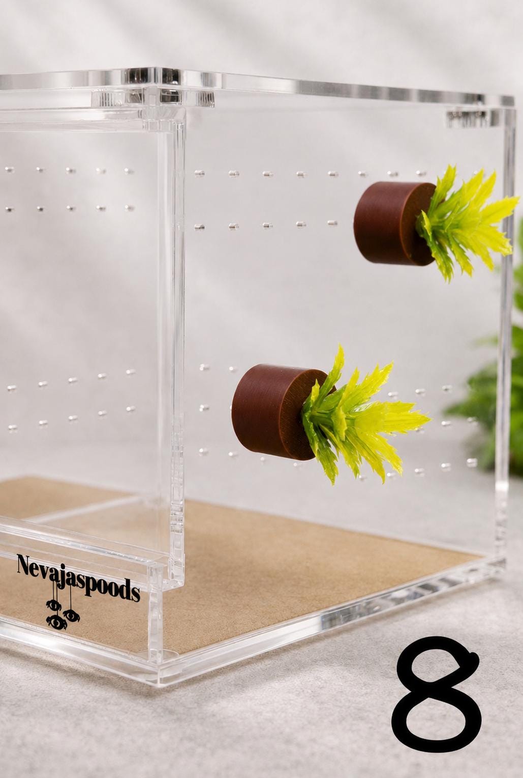 Set of 2 Bush/Succulent Ledges for Jumping Spider | Enrichment Toy