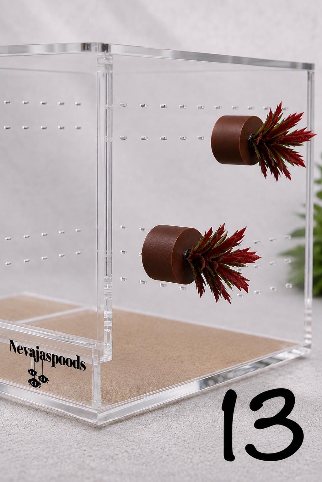 Set of 2 Bush/Succulent Ledges for Jumping Spider | Enrichment Toy