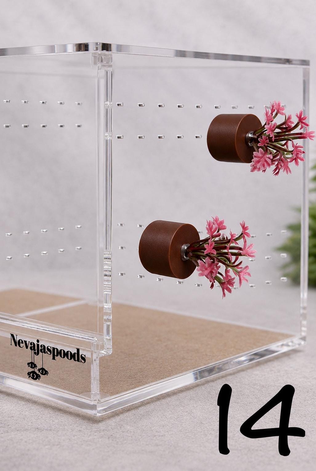 Set of 2 Bush/Succulent Ledges for Jumping Spider | Enrichment Toy