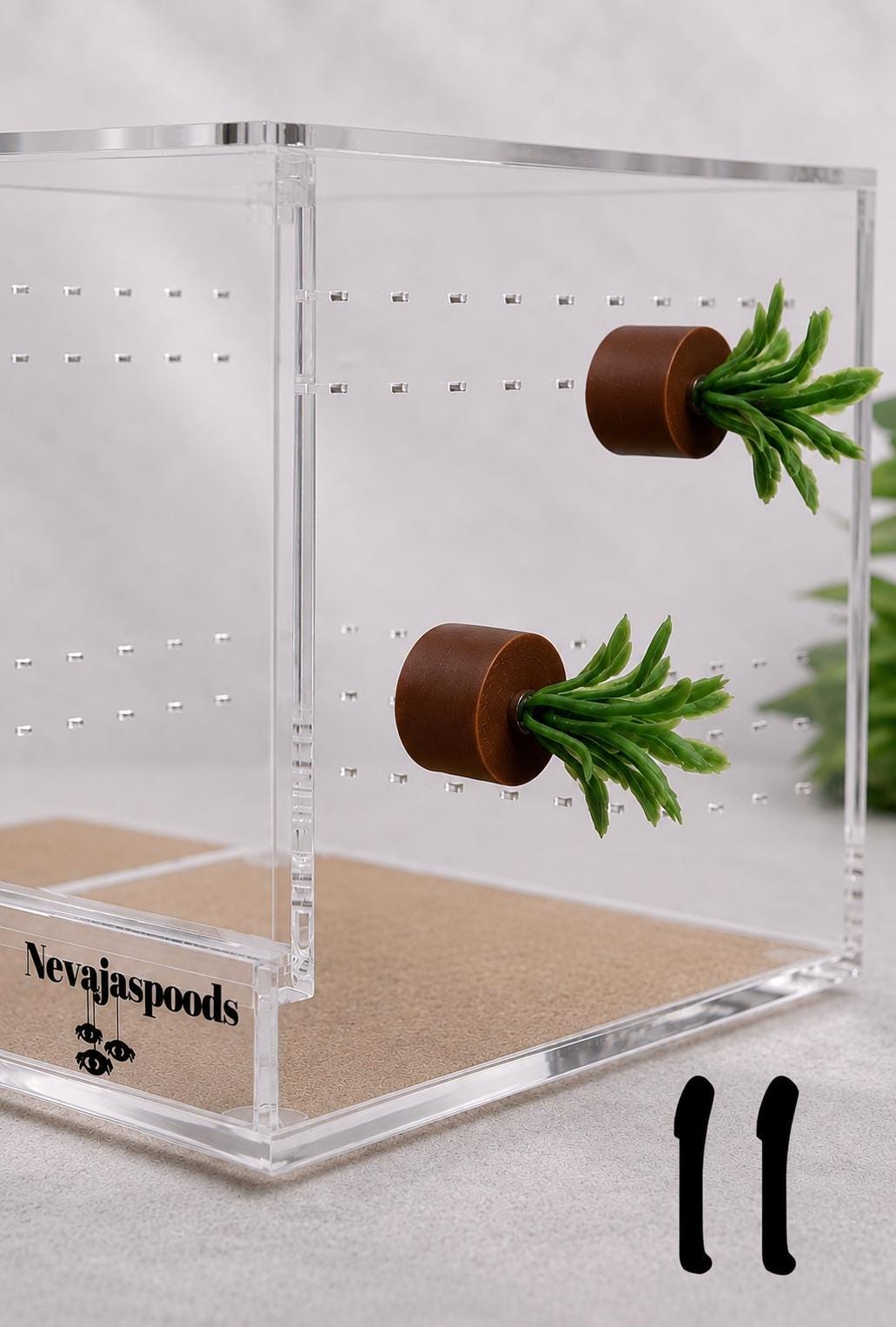 Set of 2 Bush/Succulent Ledges for Jumping Spider | Enrichment Toy