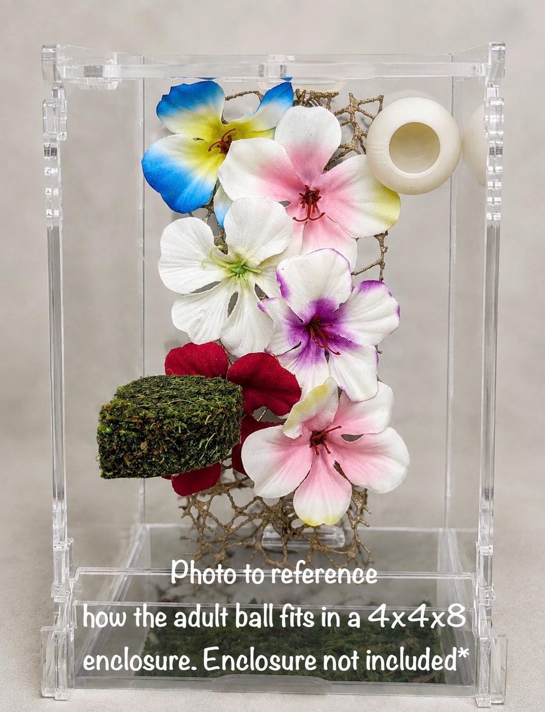 Ball Hide | Jumping Spider Enclosure Decor