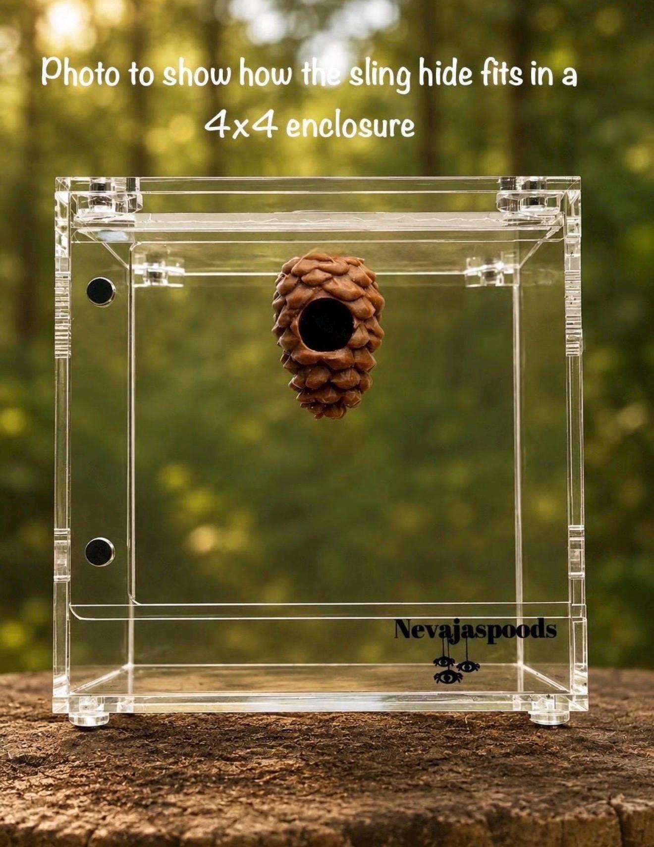 Pinecone Hide | Jumping Spider Enclosure Decor