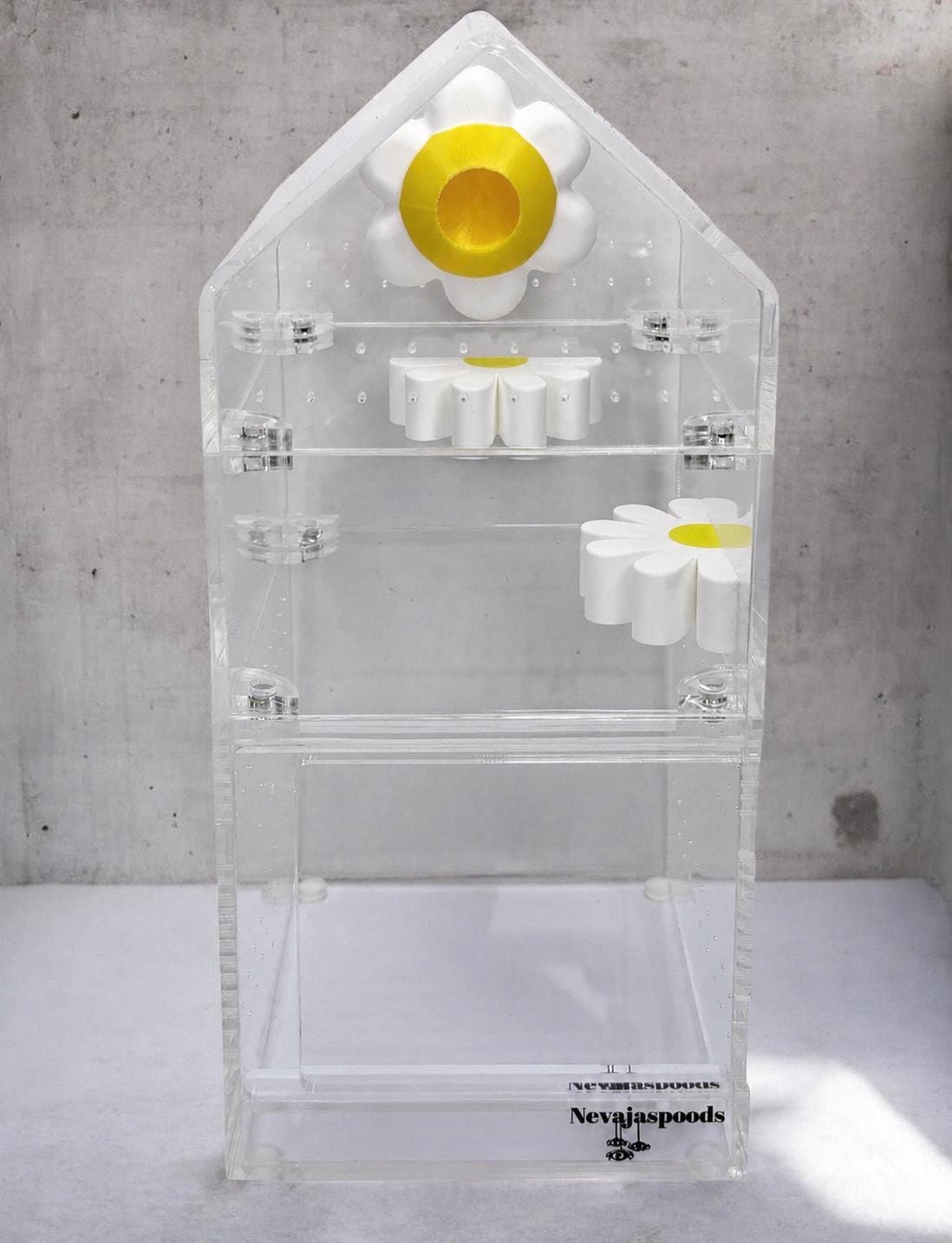 Daisy Hide | Jumping Spider Enclosure Decor