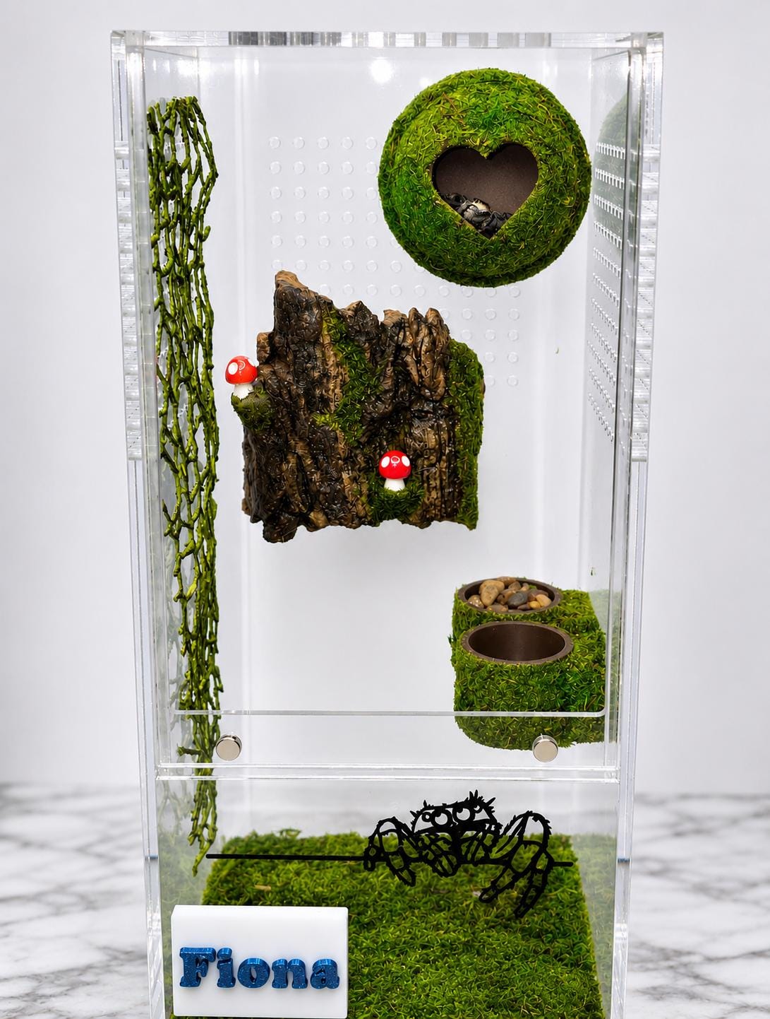 Moss Heart Dome Hide for Jumping Spider | Jumping Spider Enclosure Decor