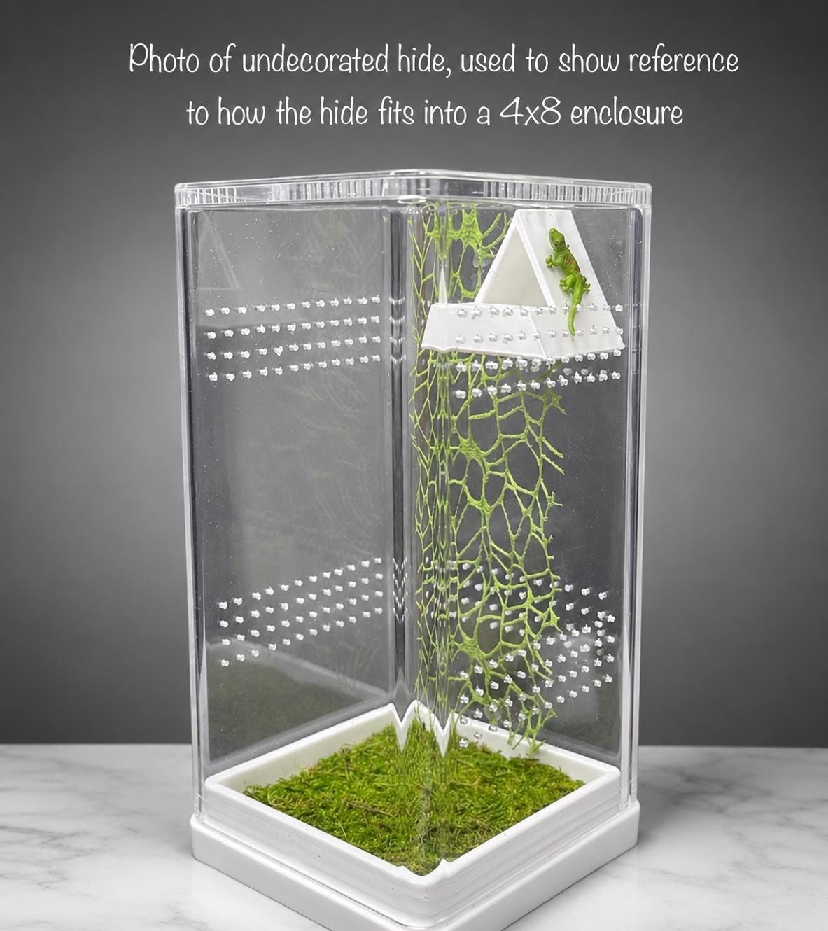 Moss Tent Hide for Jumping Spider | Jumping Spider Enclosure Decor