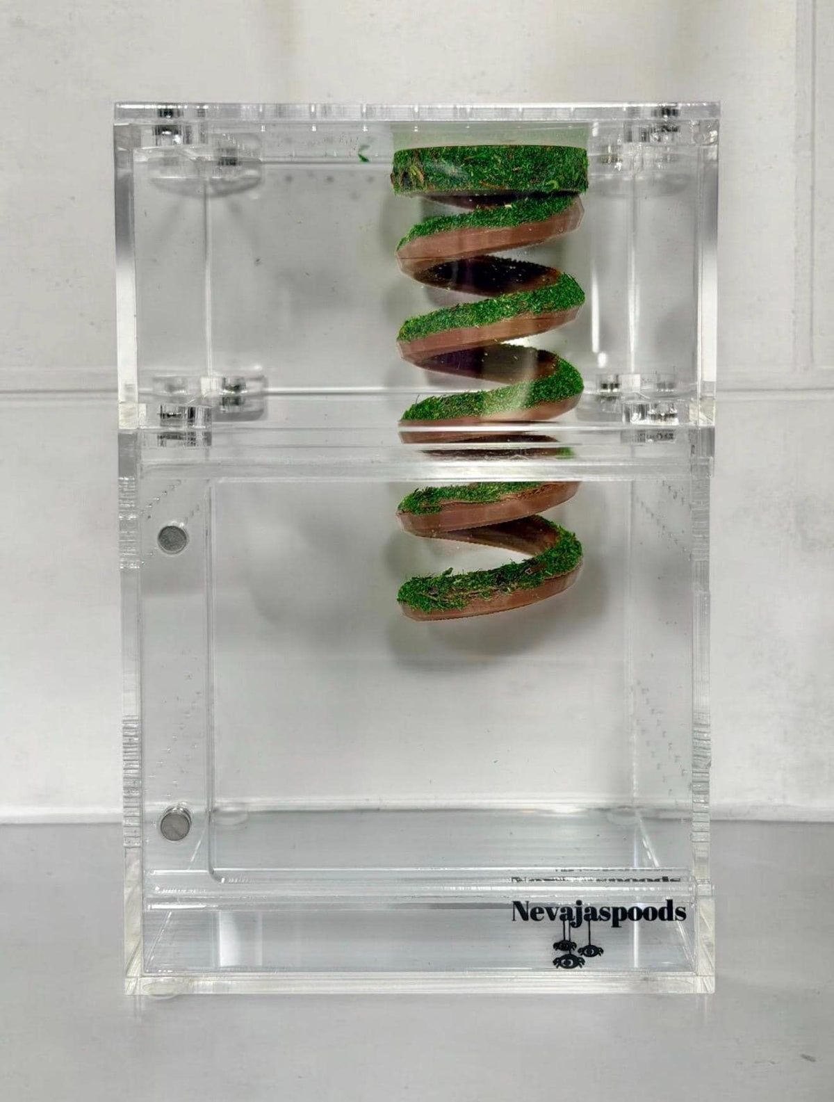 Moss Spiral Jumping Spider Playground | Spiral Hanging Gym | Enrichment Toy