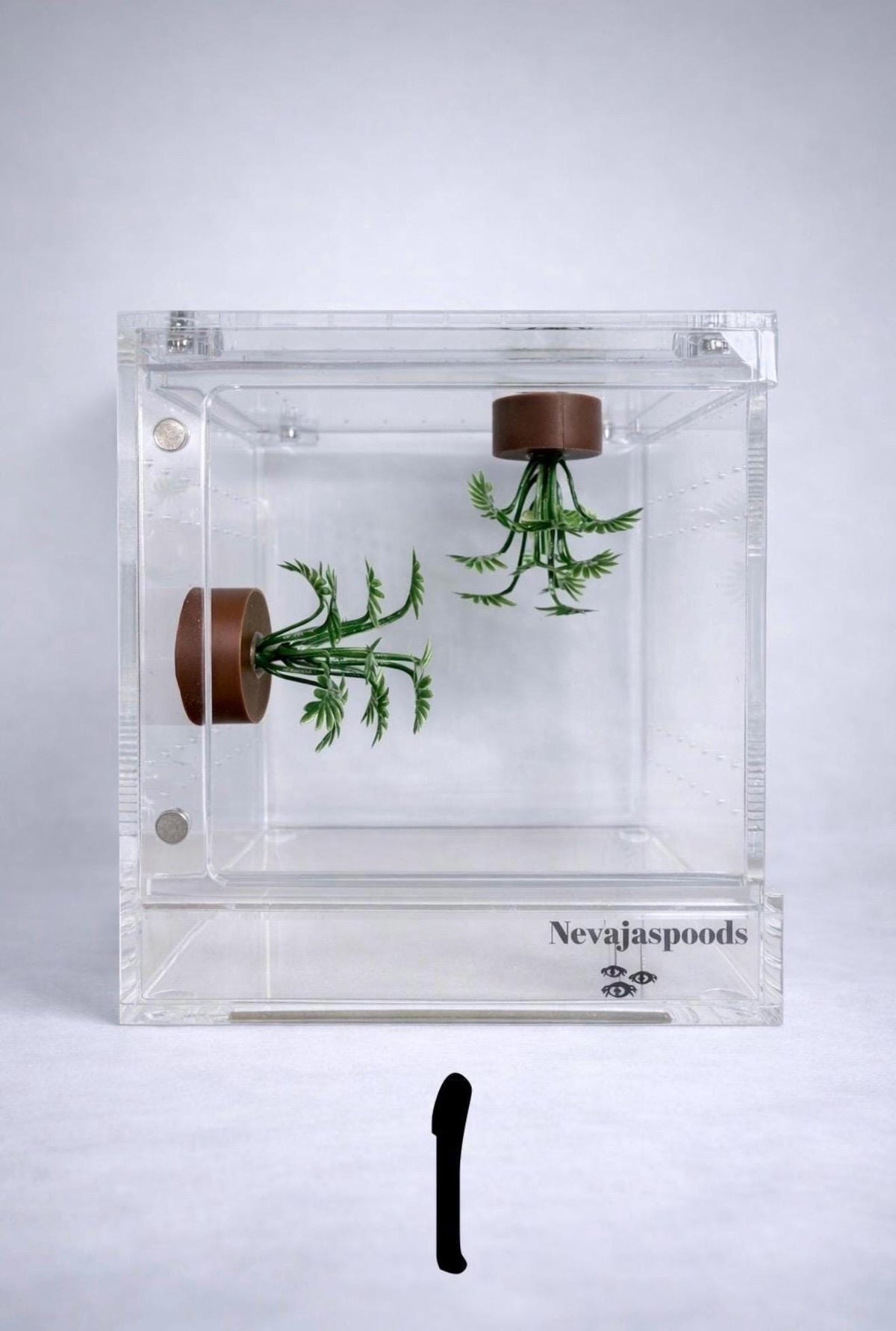 Set of 2 Bush/Succulent Ledges for Jumping Spider | Enrichment Toy