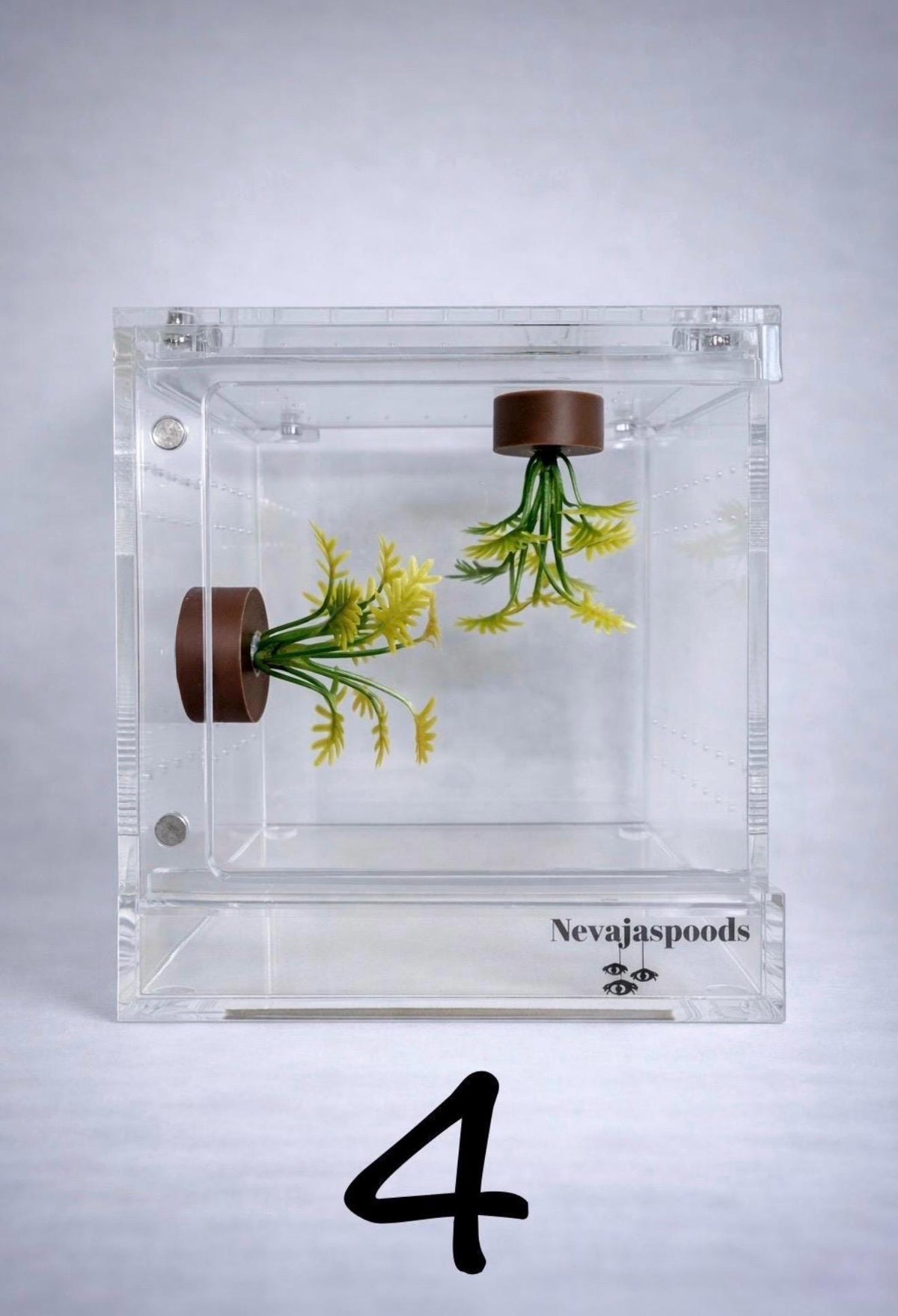 Set of 2 Bush/Succulent Ledges for Jumping Spider | Enrichment Toy