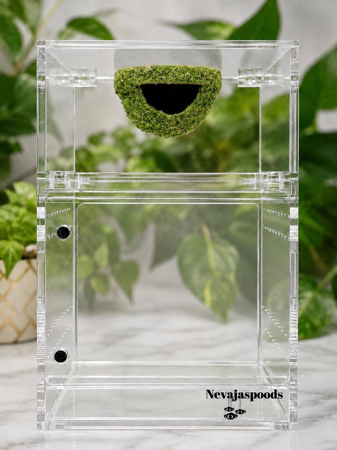 Hanging Moss Hide for Jumping Spider | Jumping Spider Enclosure Decor