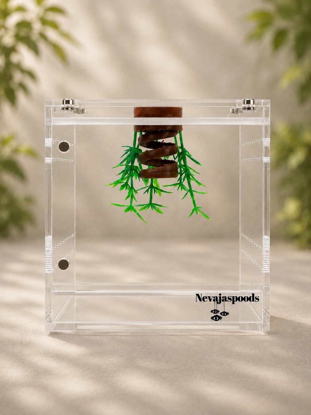 Sling Jumping Spider Spiral Vine Perch | Spiral Hanging Gym | Enrichment Toy