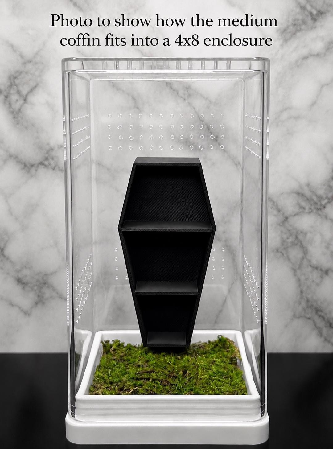 Coffin Shelf for Jumping Spider | Undecorated – 3 Sizes