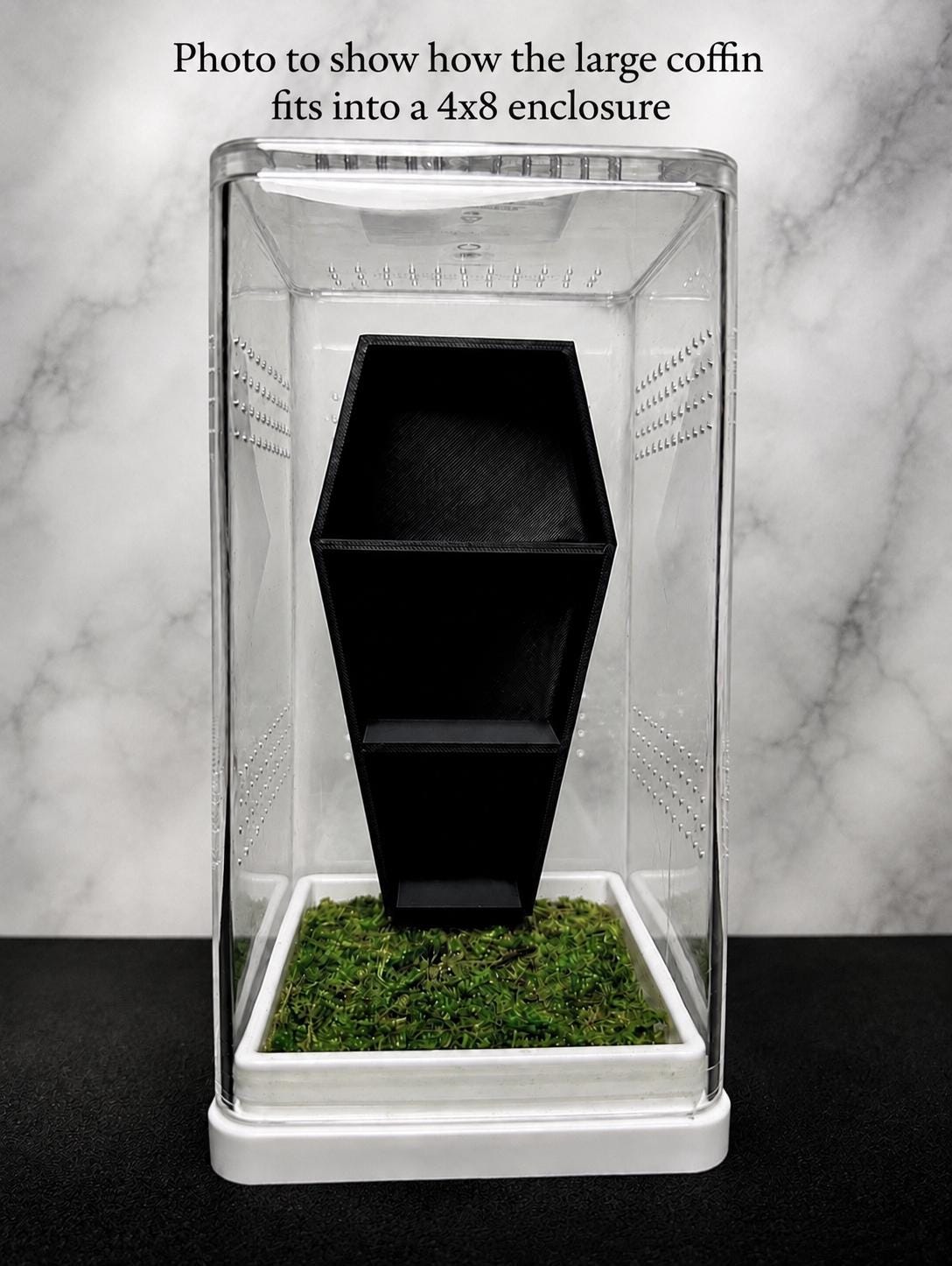 Coffin Shelf for Jumping Spider | Undecorated – 3 Sizes