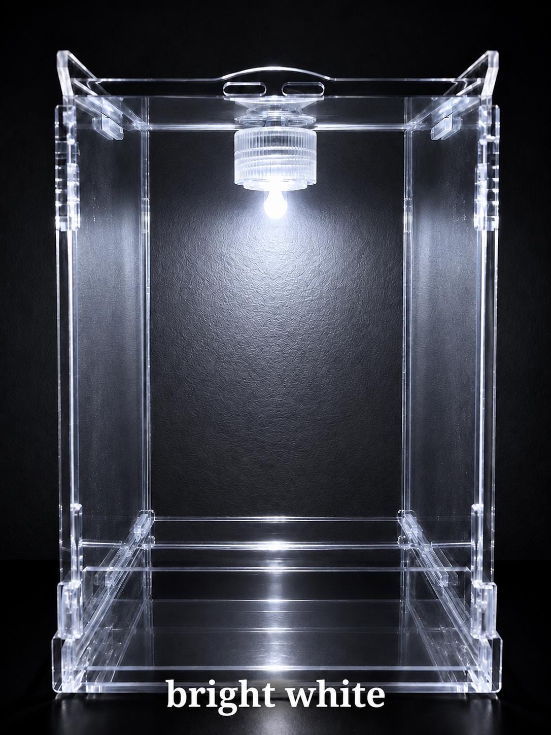 Waterproof LED Light for Jumping Spider Enclosure
