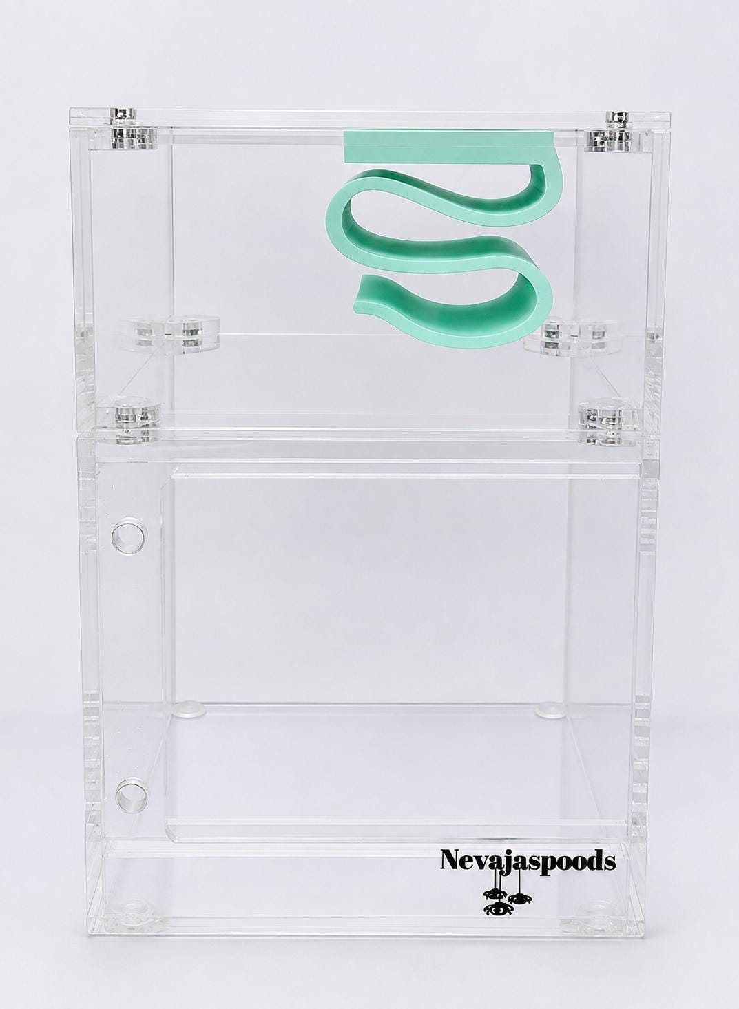 Infinity Hide | Jumping Spider Enclosure Decor
