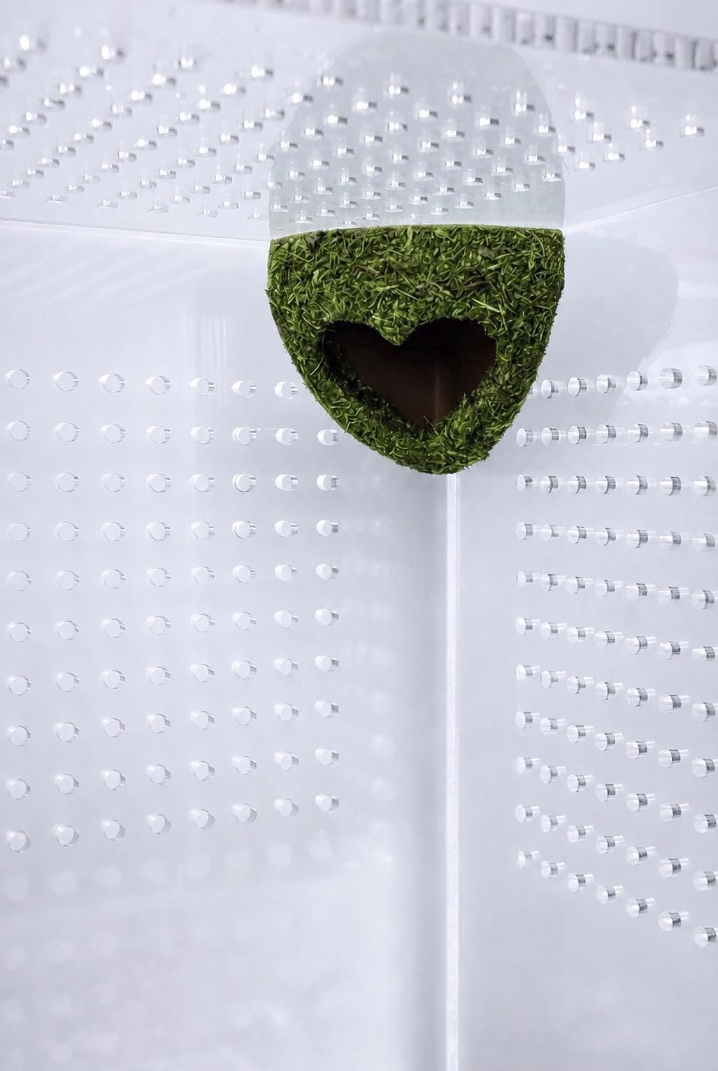 Moss Corner Heart Hide for Jumping Spider | Jumping Spider Enclosure Decor