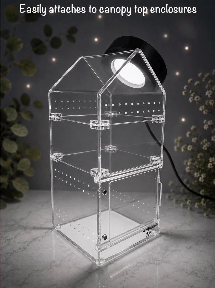 5V USB LED Dome Light for Jumping Spider Enclosure | Spider Terrarium Light | Spider Enclosure Essentials
