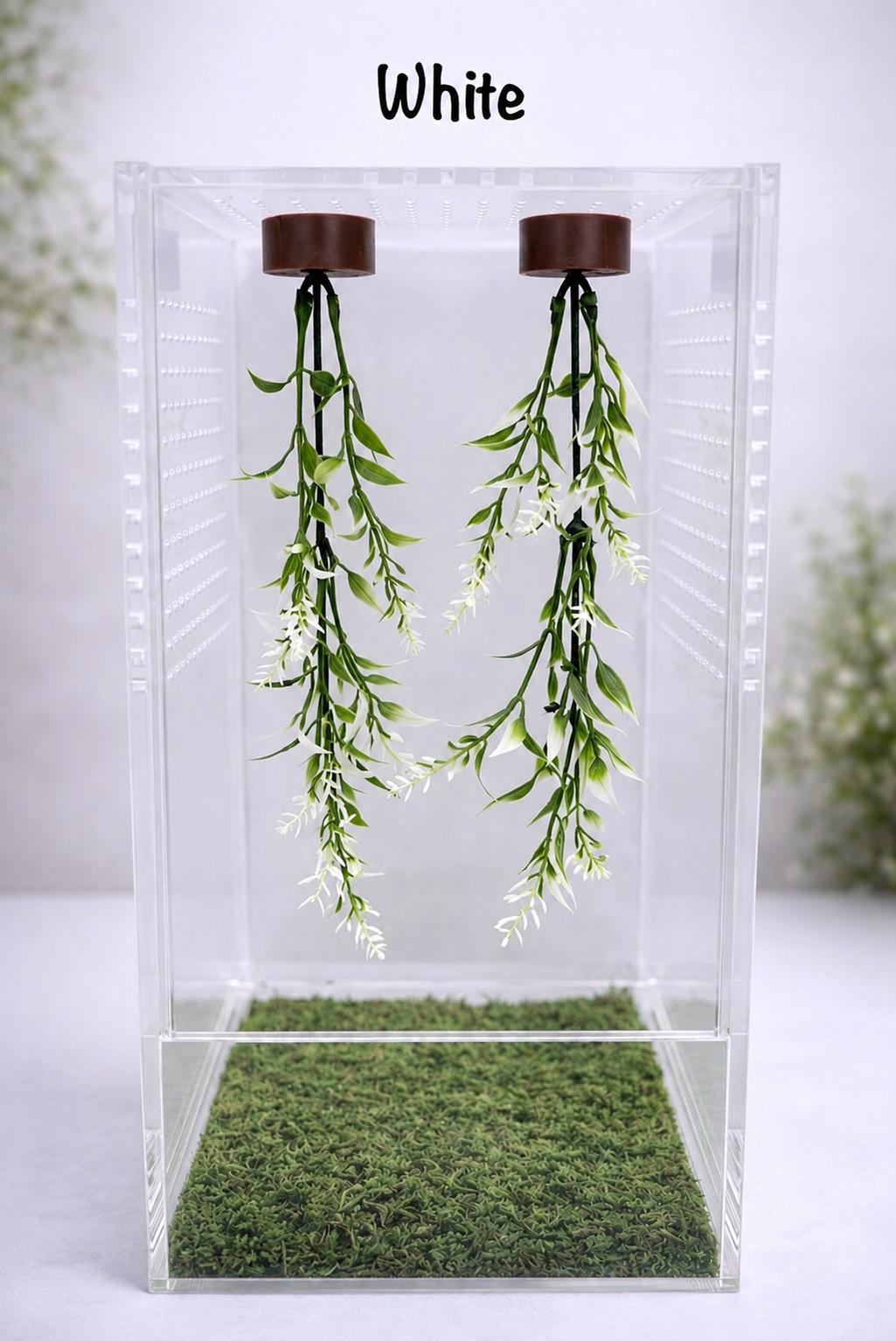 Set of 2 Hanging Plant Jumping Spider Playground | Hanging Gym | Enrichment Toy
