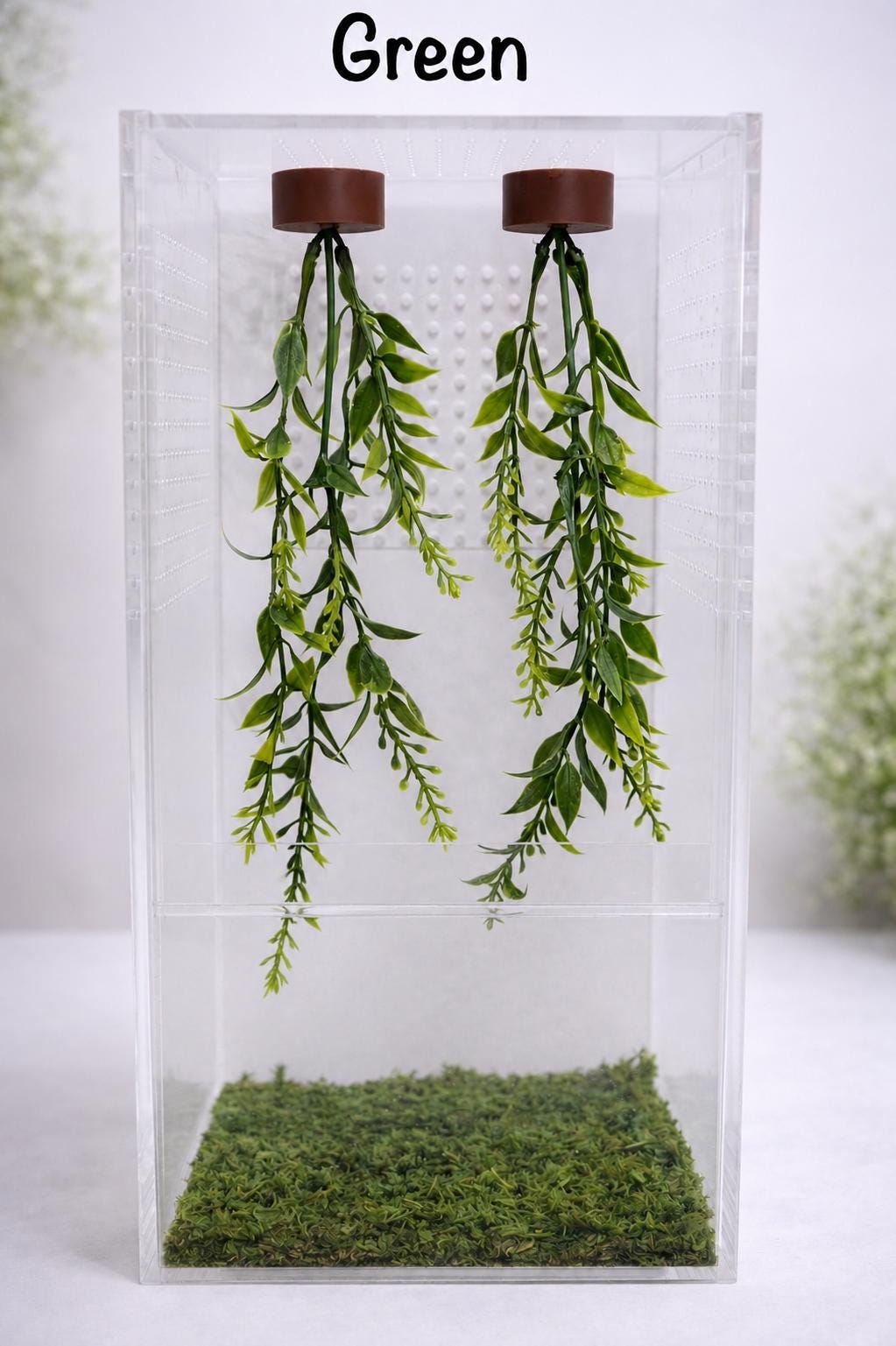 Set of 2 Hanging Plant Jumping Spider Playground | Hanging Gym | Enrichment Toy
