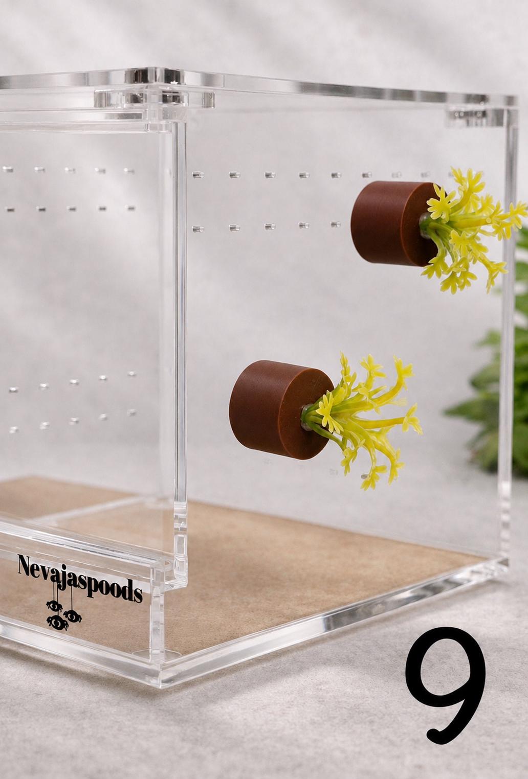 Set of 2 Bush/Succulent Ledges for Jumping Spider | Enrichment Toy