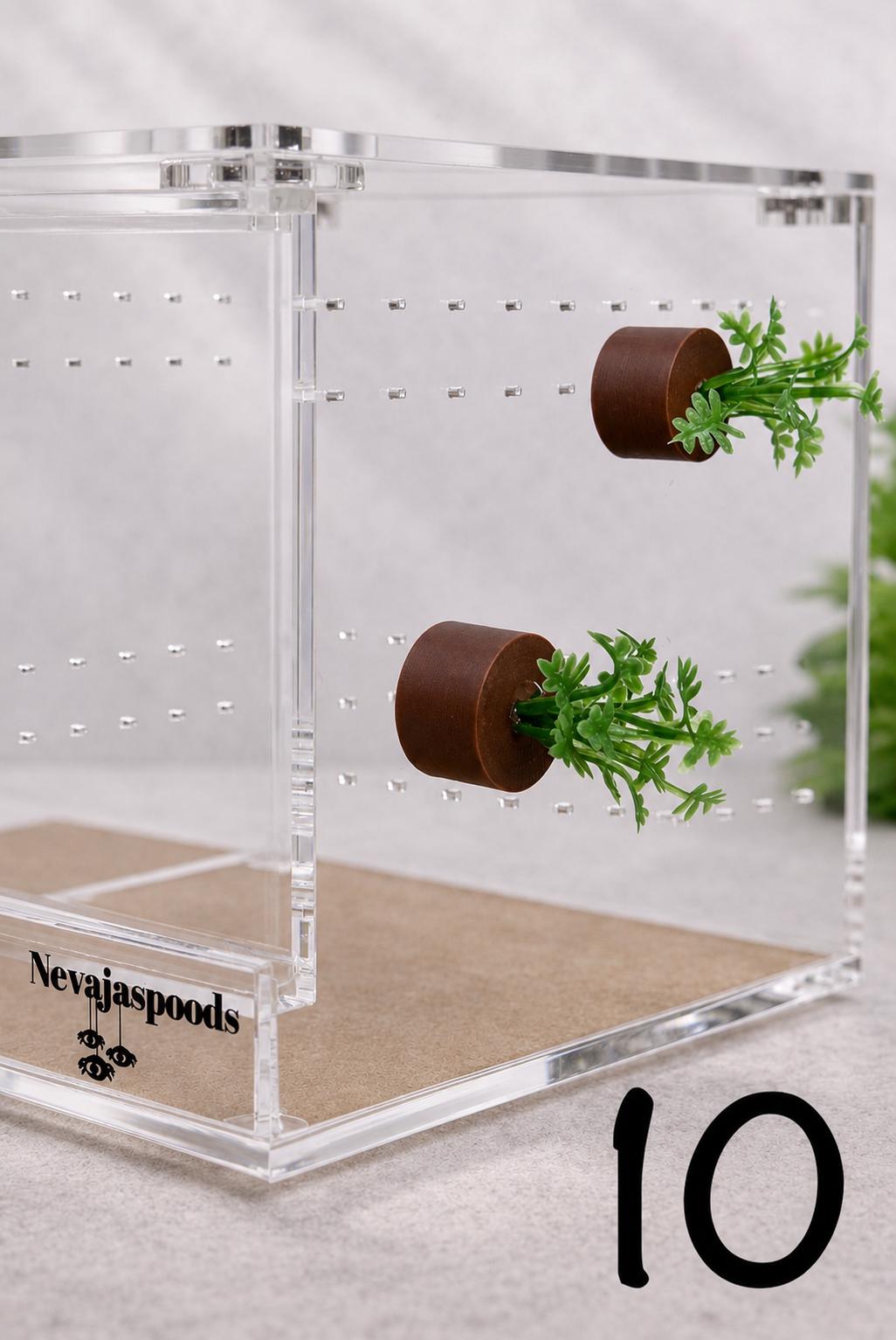 Set of 2 Bush/Succulent Ledges for Jumping Spider | Enrichment Toy