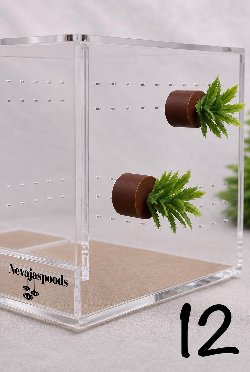 Set of 2 Bush/Succulent Ledges for Jumping Spider | Enrichment Toy