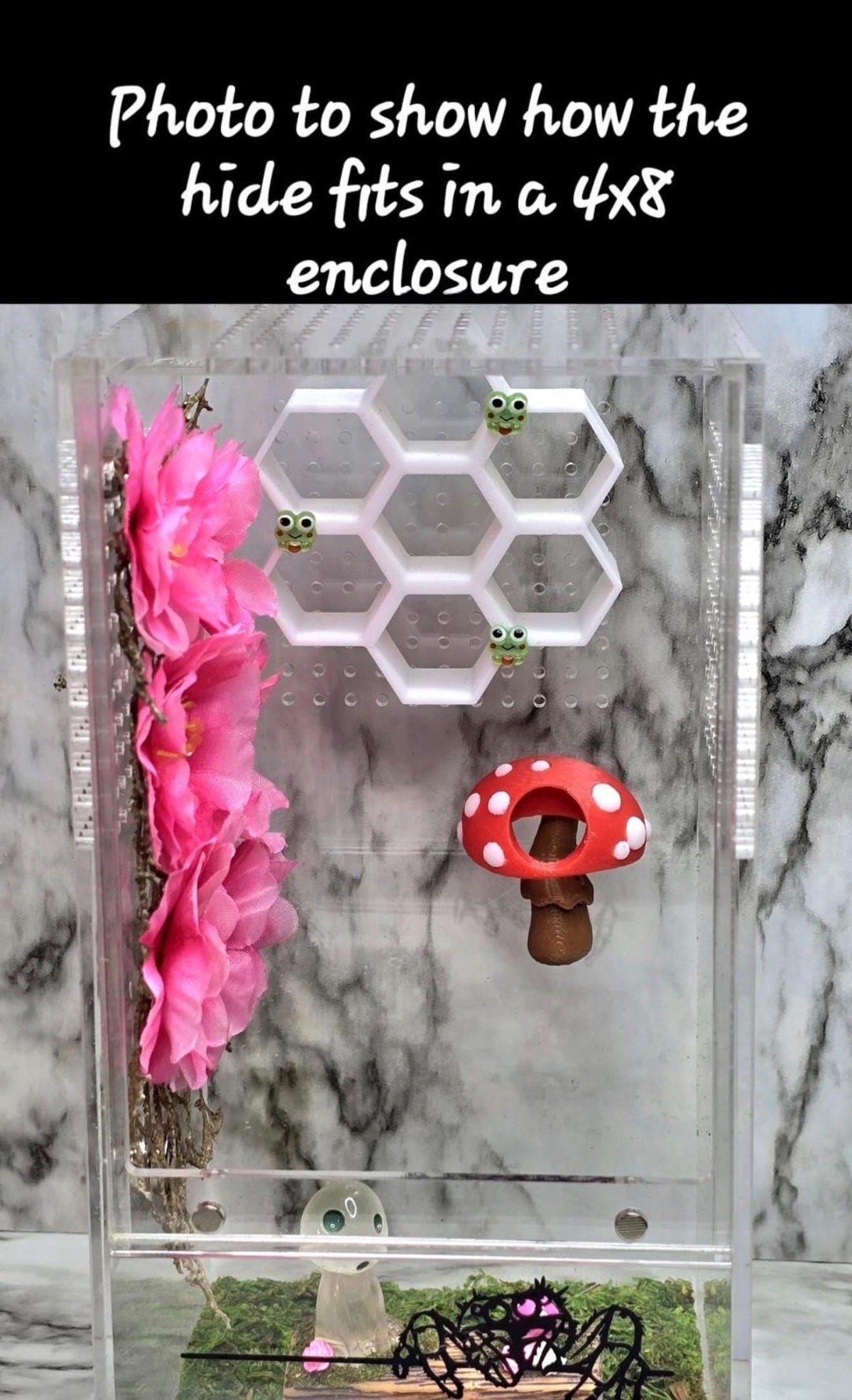 Mushroom Hide | Jumping Spider Habitat | Enclosure Decor