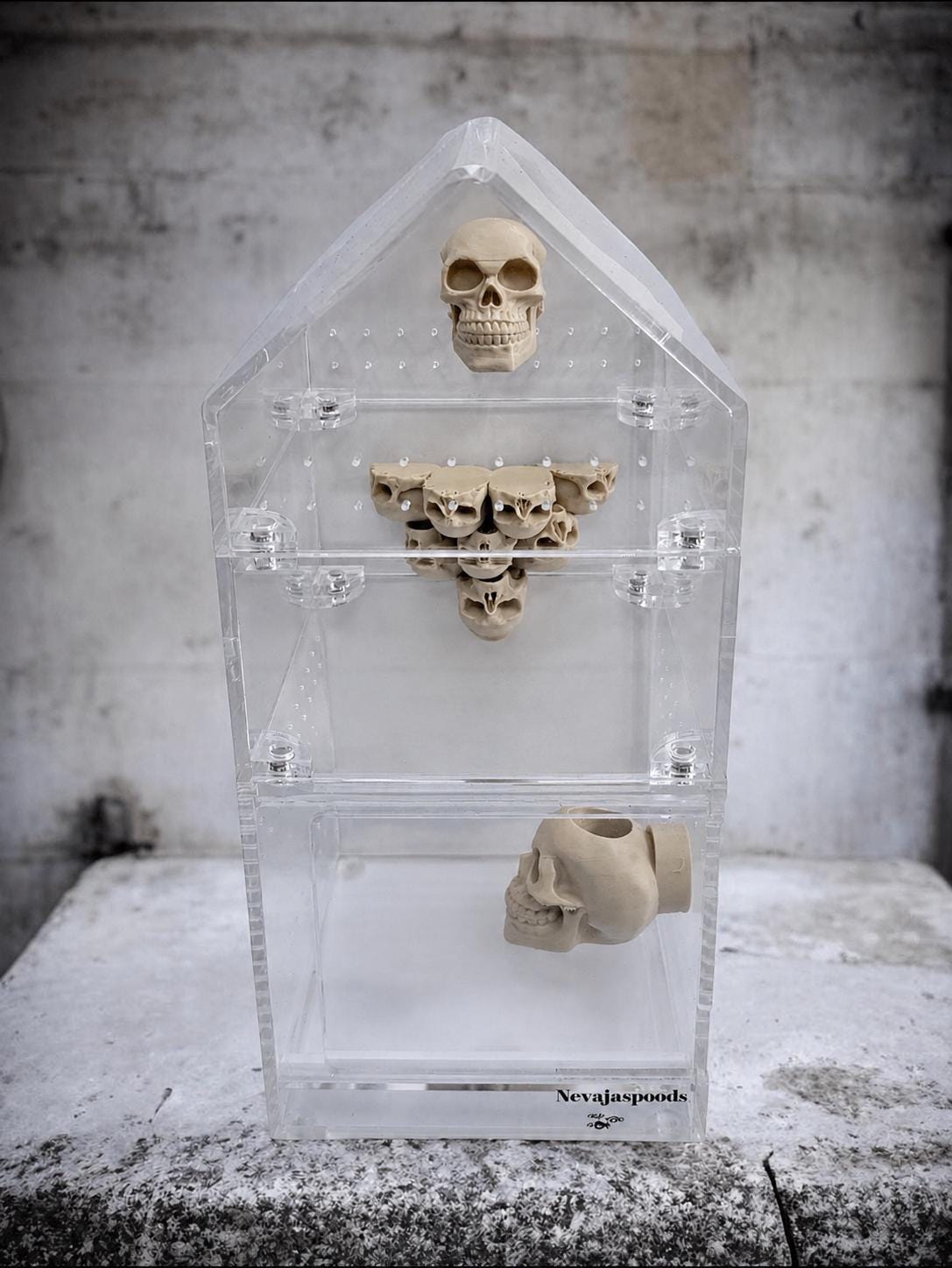 Skull Ledge for Jumping Spider | Spider Enclosure Decor | Spider Habitat Decor | Enclosure Decor
