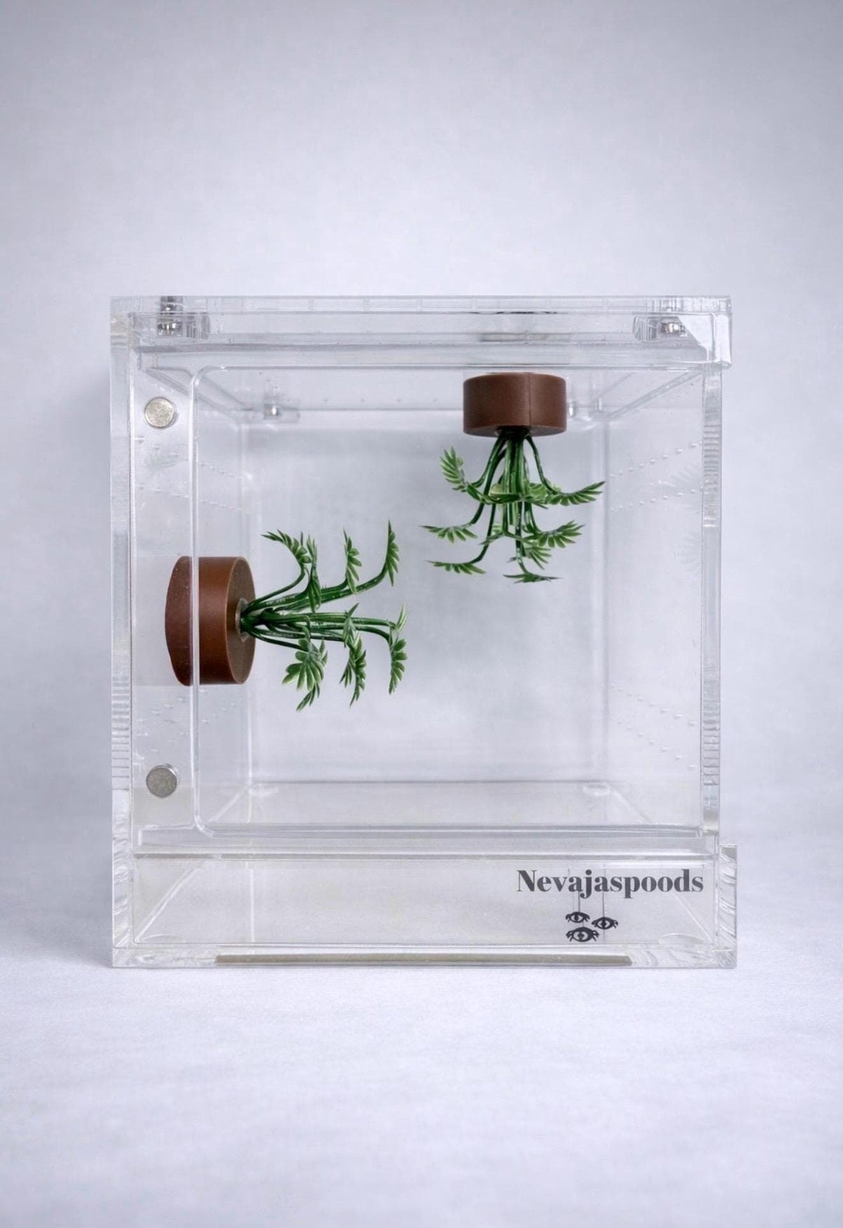 Set of 2 Bush/Succulent Ledges for Jumping Spider | Enrichment Toy