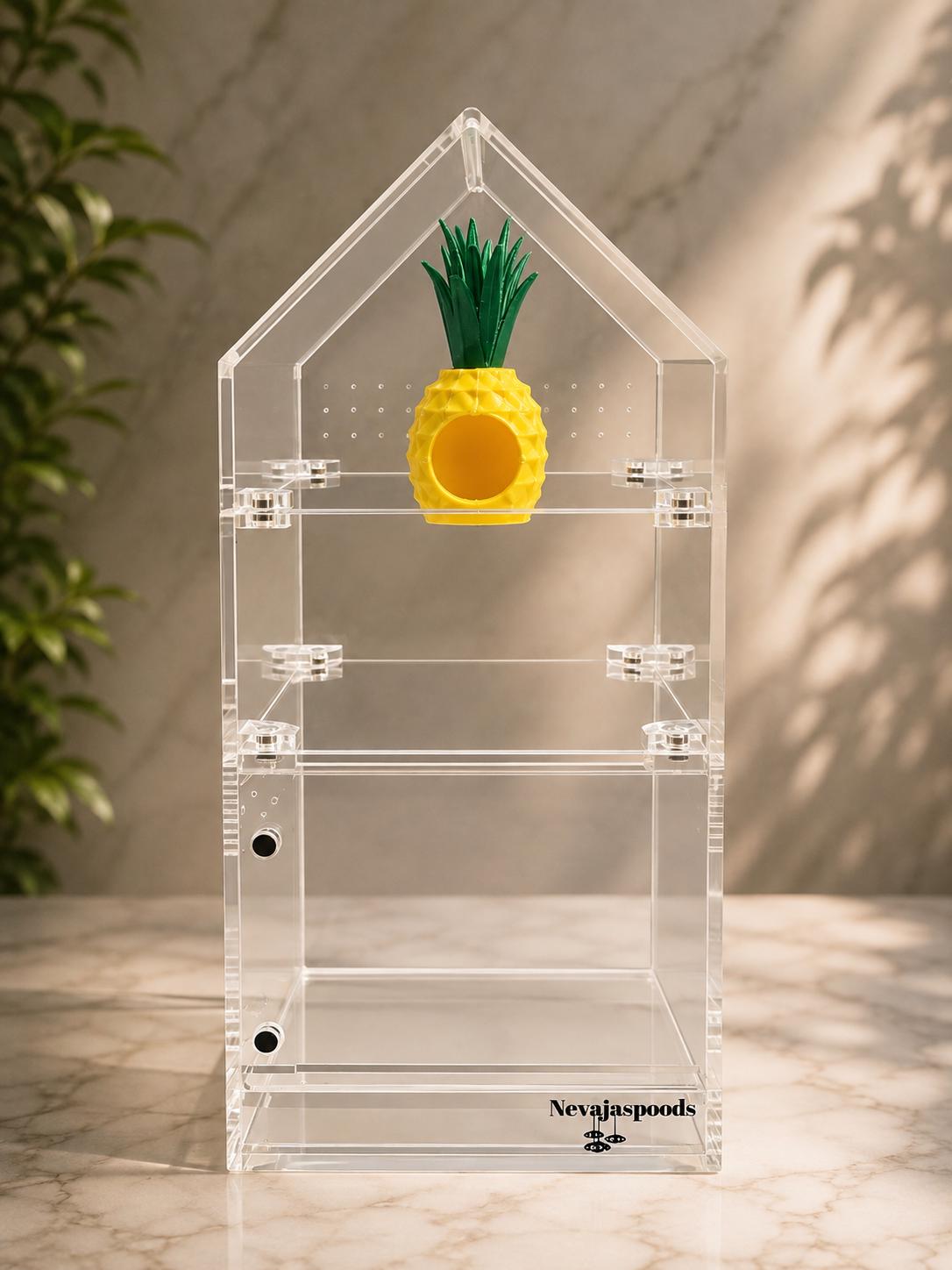 Pineapple Hide | Jumping Spider Enclosure Decor