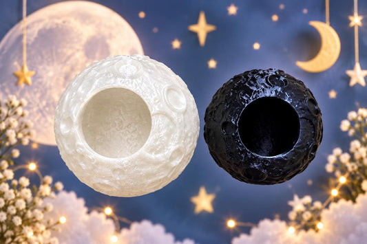 Moon Hide | Jumping Spider Enclosure Decor