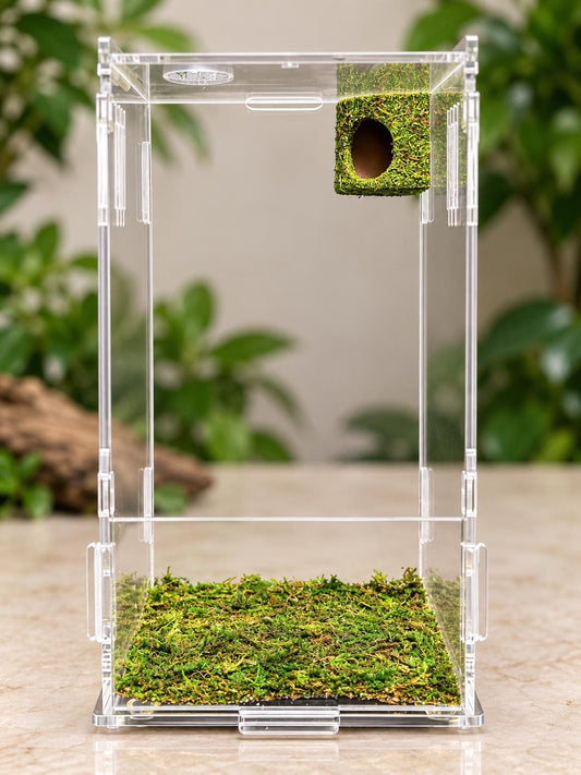 Moss Corner Hide for Jumping Spider | Jumping Spider Enclosure Decor