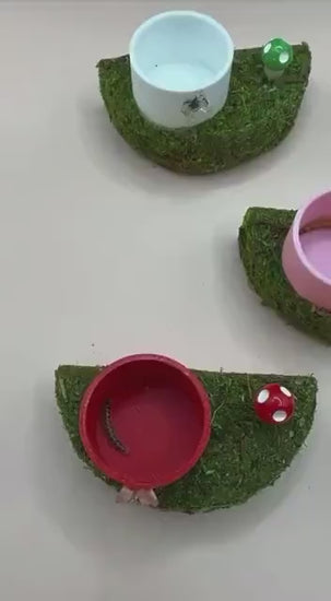 Mossy Jumping Spider Ledge with Feeder Dish | Enclosure Decor | Arboreal Spider Accessory