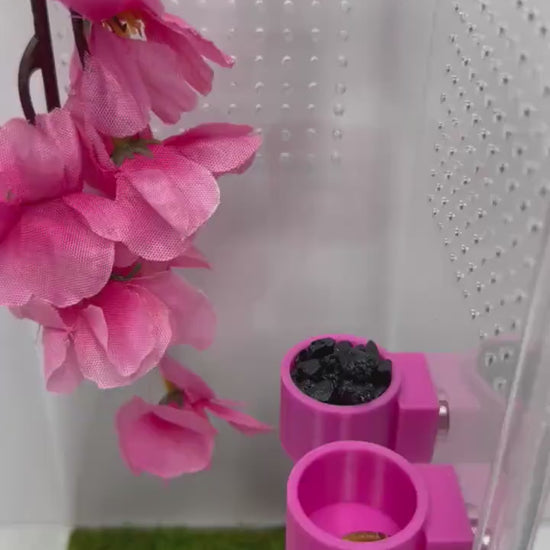 Jumping Spider Feeder Dishes | Spider Feeding Bowls | 41 Color Choices | Enclosure Accessory