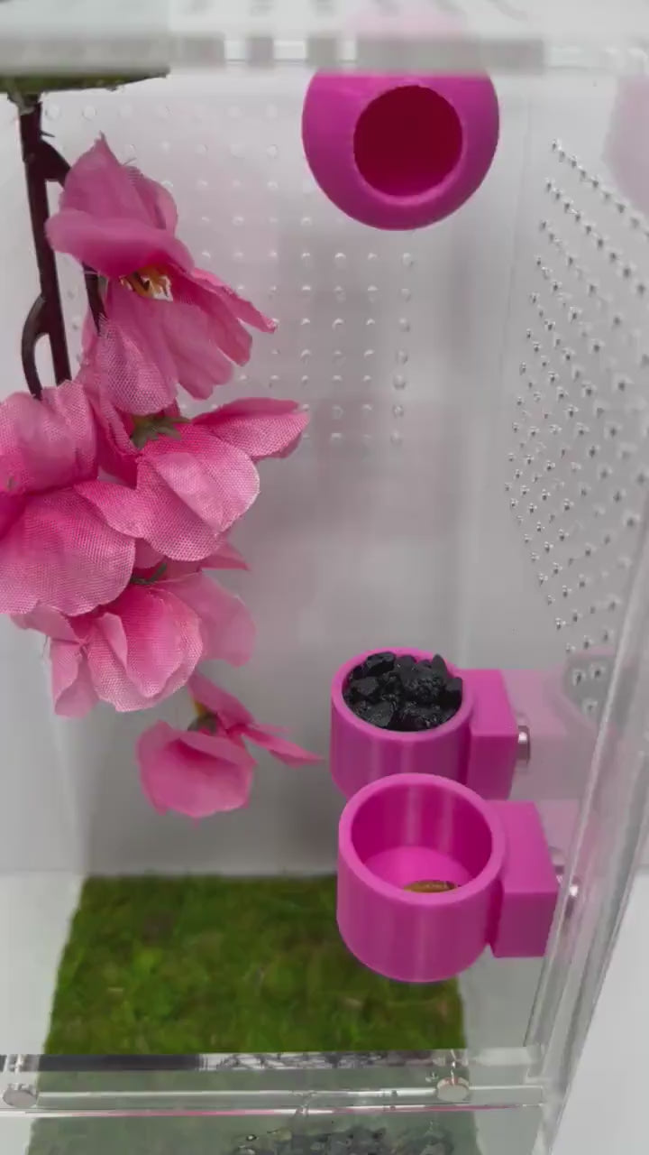 Jumping Spider Feeder Dishes | Spider Feeding Bowls | 41 Color Choices | Enclosure Accessory