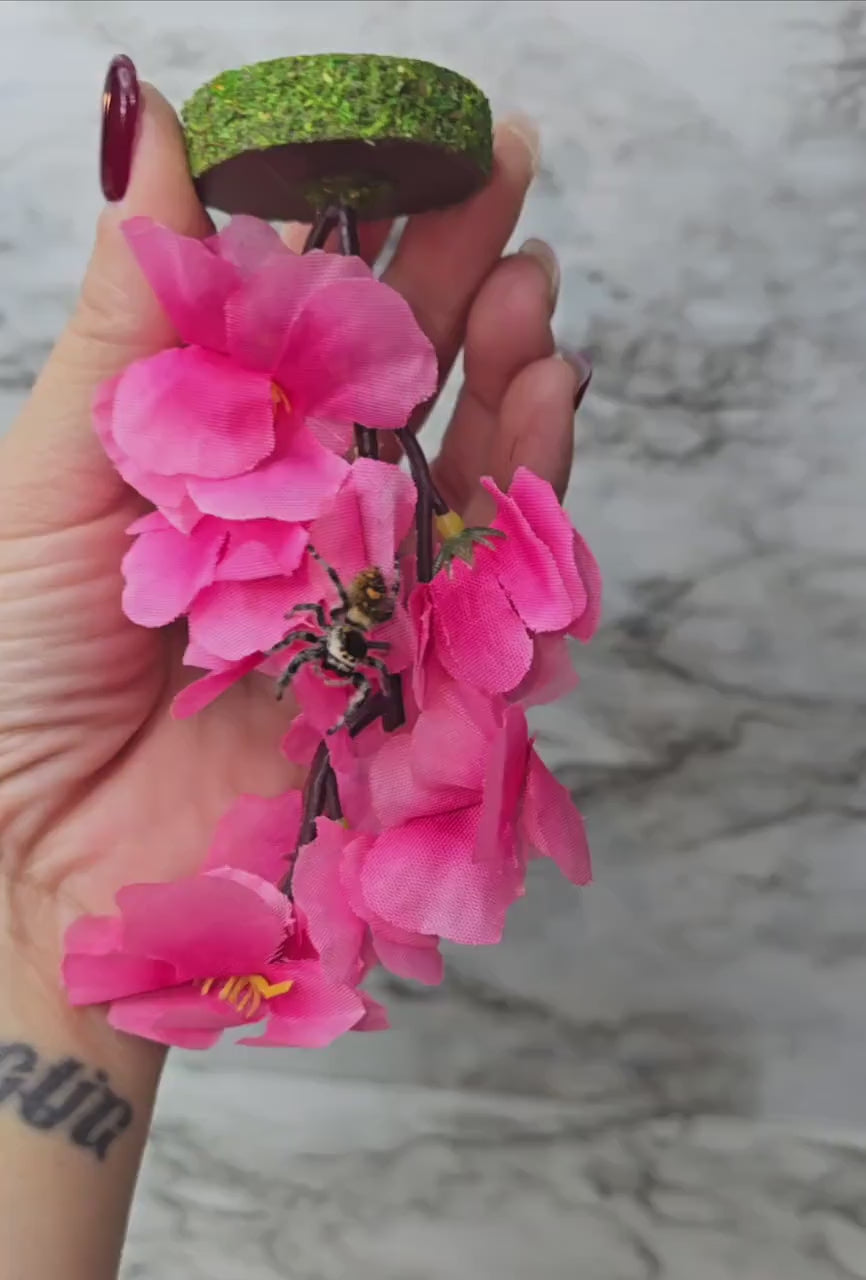 Cherry Blossom Hanging Spider Gym | Jumping Spider Exercise Playground | Spider Accessories