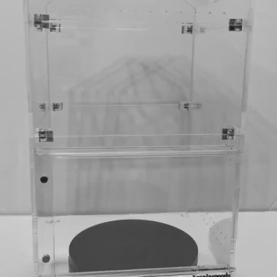 Nevajaspoods 6x6 Adjustable Jumping Spider Enclosure | Expands Up to 11 Inches Tall | Arboreal Spider Habitat