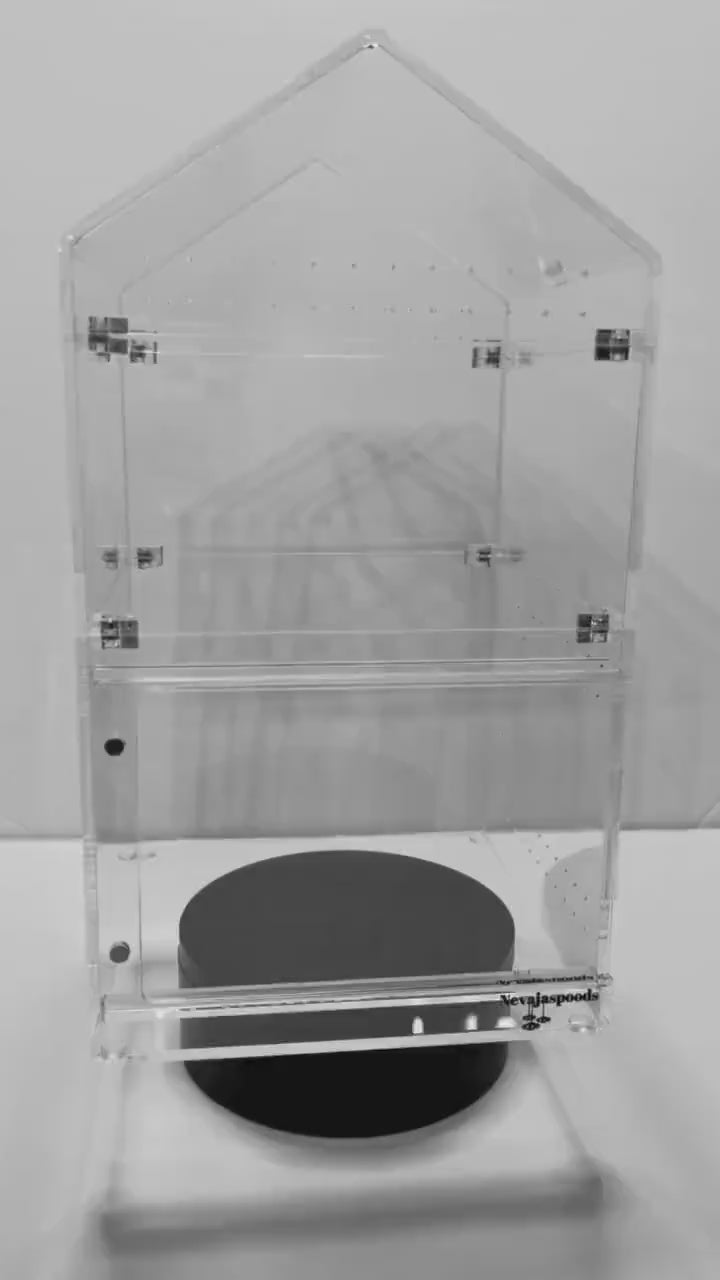 Nevajaspoods 6x6 Adjustable Jumping Spider Enclosure | Expands Up to 11 Inches Tall | Arboreal Spider Habitat